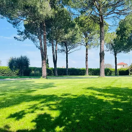 Pronti Santarcangelo - Rimini *