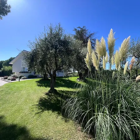Villa Pronti Santarcangelo - Rimini *