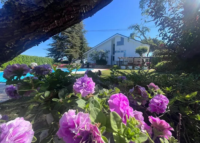 Pronti Santarcangelo - Rimini